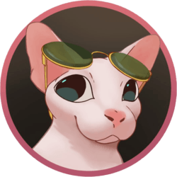 Bingus Network Bingus Events News