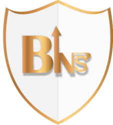 Bitsense (BINS)