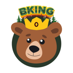 BKING Finance (BKF)
