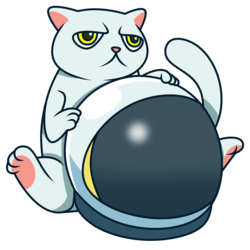 BlockCAT (CAT)