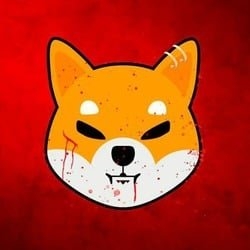 Bloody shiba (BLOODYSHIBA)