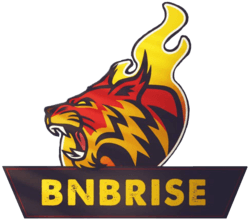 BNBRise (BRISE)