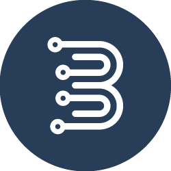 BRMV Token (BRMV)