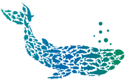 Bulk Network (BULK)