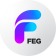 FEG BSC (FEG)