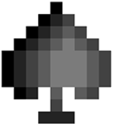 Polyroll (ROLL)