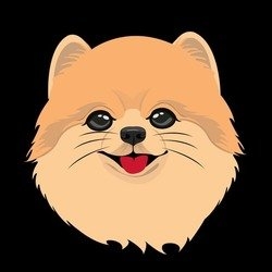 PomPom (POM)