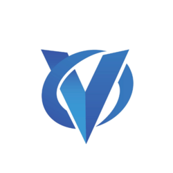 Virtual Goods Token (VGO)