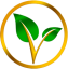 Vitae (VITAE)