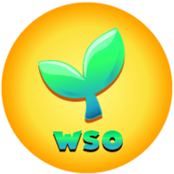 Widi Soul (WSO)