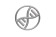 XDNA (XDNA)
